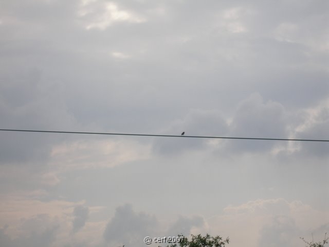 2007 05 Séjour en Brenne 030